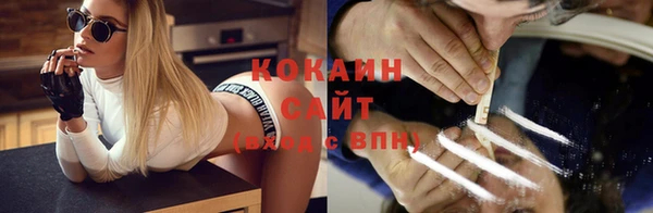 индика Белоозёрский