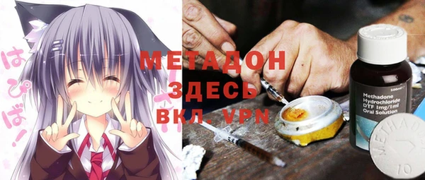индика Белоозёрский