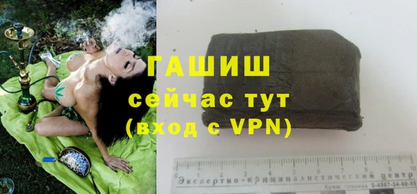 индика Белоозёрский