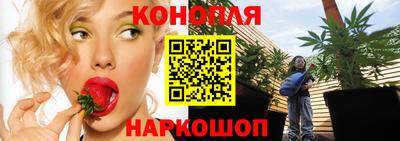 соль ск Бийск