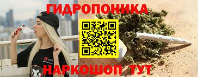 spice Гусев