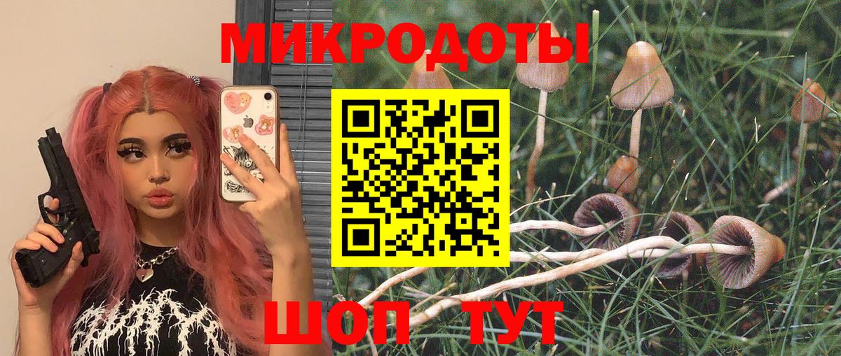 Гулькевичи  Галлюциногенные грибы Cubensis  Вход с VPN 