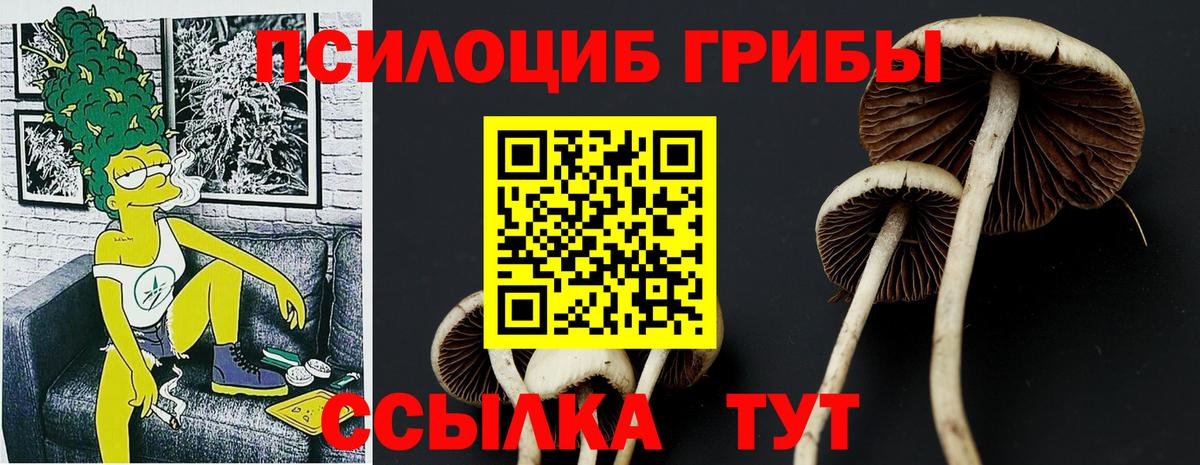 Псилоцибиновые грибы GOLDEN TEACHER  Гулькевичи 